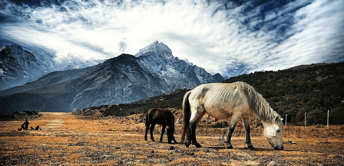 Everest Helicopter Landing Tour with Breakfast