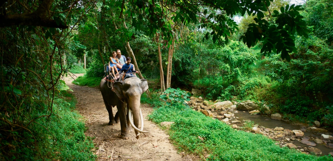 Adventure Sports Tour with Rafting, Jungle Safari and Mountain Flight